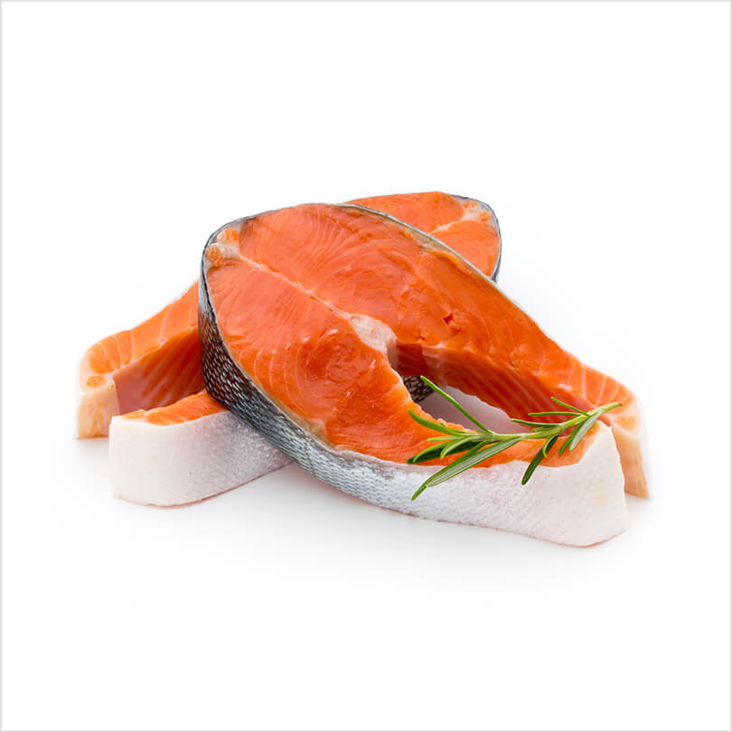 Salmon